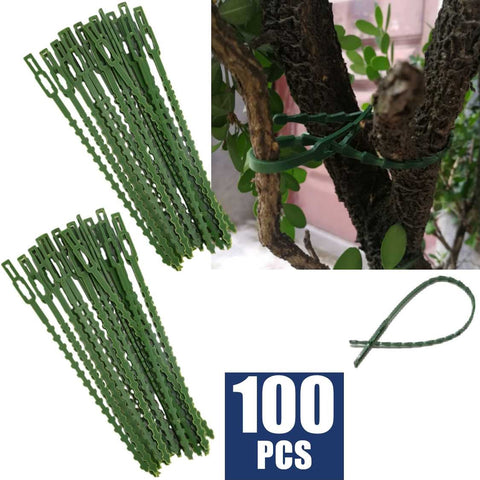 100Pcs Tomato Veggie Greenhouse Garden Plant Vine Support Clips Flower Plant