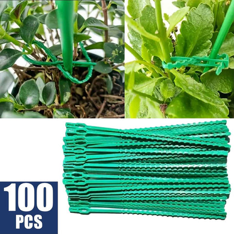 100Pcs Tomato Veggie Greenhouse Garden Plant Vine Support Clips Flower Plant