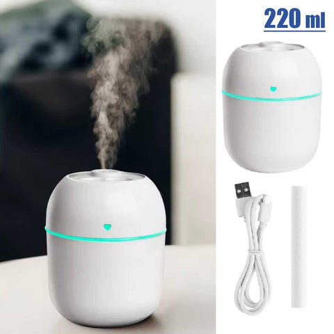 Portable Mini Air Humidifier Air Diffuser 220ml Large Capacity USB Powered Mute