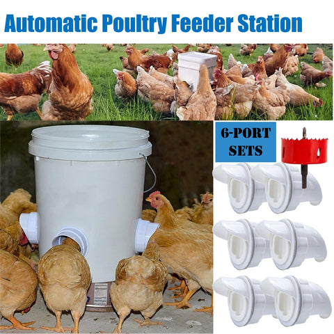 Automatic Poultry Feeder Chicken Feeder Rain Proof 6 Ports with Covers