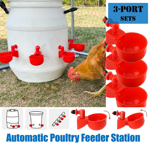 Poultry Water Feeder Chicken Chick Drinker Cups Automatically 3Pcs