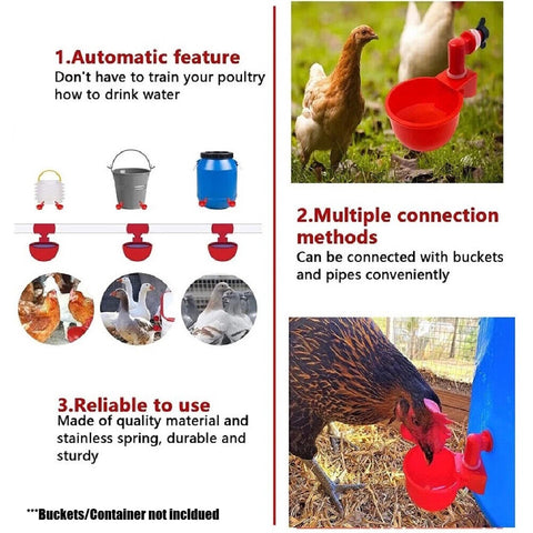 Poultry Water Feeder Chicken Chick Drinker Cups Automatically 3Pcs