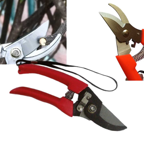 Garden Tool Hand Pruner Trimmer Grafting Shears Secateurs Shears Cutter Lopper