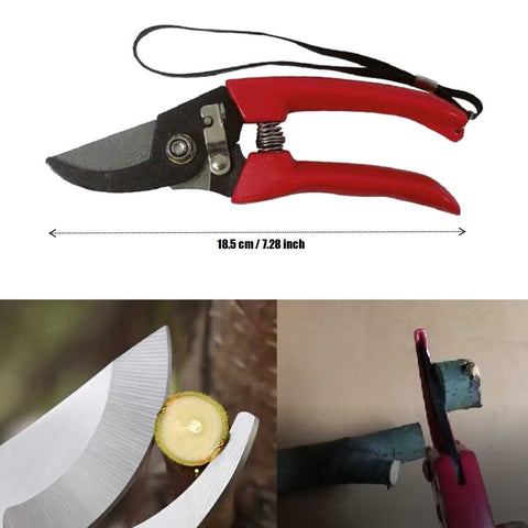 Garden Tool Hand Pruner Trimmer Grafting Shears Secateurs Shears Cutter Lopper