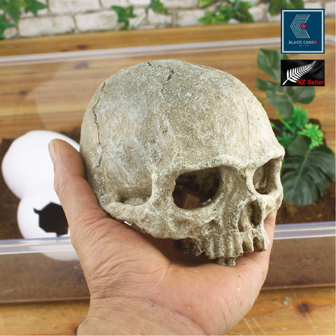 Large Head Skeleton Skull Aquarium Decorations Rock Fish Tank Accessories