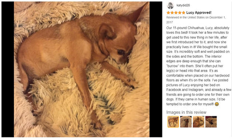 Modern Soft Plush Round Pet Bed for Cats Dog Bed  -Size Medium