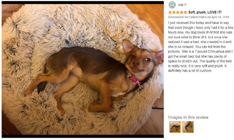 Modern Soft Plush Round Pet Bed for Cats Dog Bed  -Size Medium