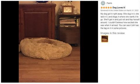 Large Modern Soft Plush Round Pet Bed for Cats or Dogs -Size Large