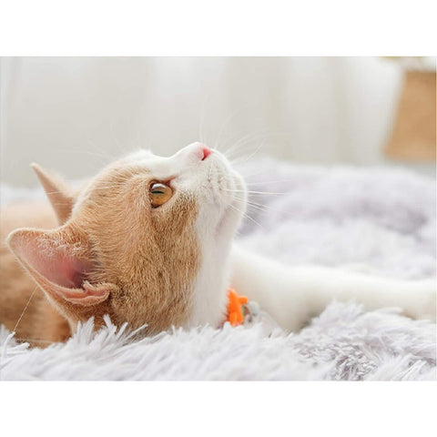 Large Modern Soft Plush Round Pet Bed for Cats or Dogs -Size Large