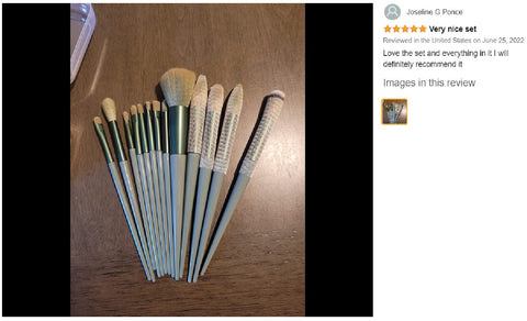 Premium Makeup Brushes Set 13Pcs Synthetic Bristle Conical Liquid Powder Buffing