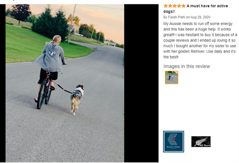 Dog Bicycle Exerciser Leash Retractable aluminum Dog Leash Attachment Kit