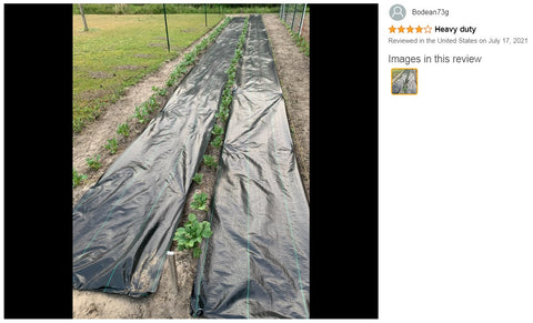 100Pcs Garden Staples U-shaped Garden Landscape Pegs Weed Mat Pins Galvanised