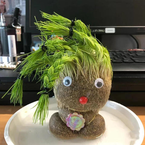 2Pcs Grass Head Doll Hand Watered Small Potted Plant Home Decoration Edu Toy