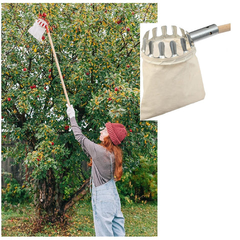 Metal Fruit Picker Tool with Head Basket Graden Fruit Picking Tools