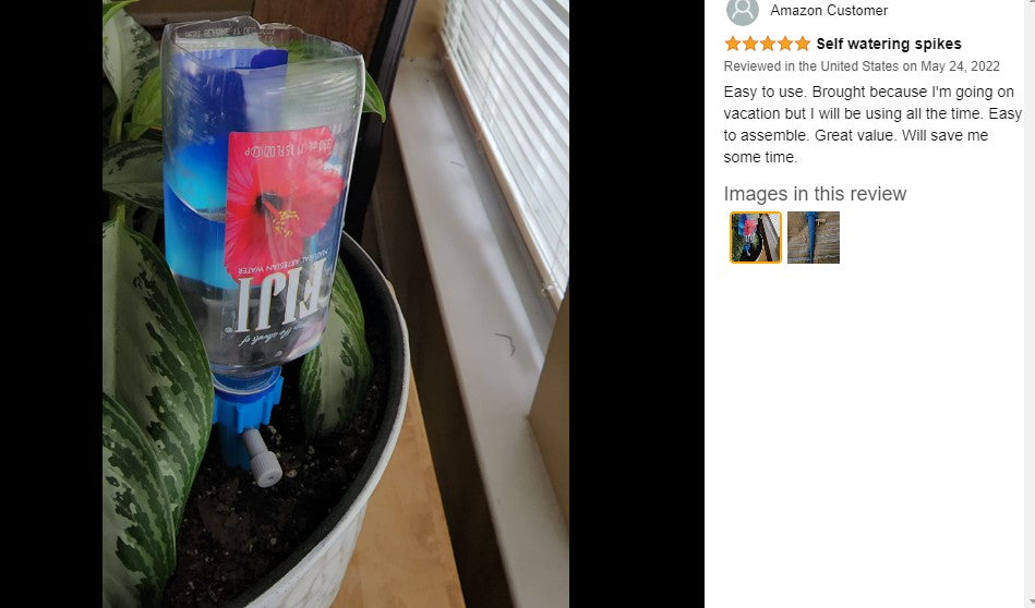 self watering herb planter nz 10Pcs Self Watering Garden Planter Flower Pot Herb Vegetable Planter B – Referdeal
