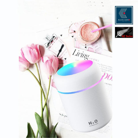 Portable Mini Air Humidifier Air Diffuser 300ml Large Capacity USB Powered Mute