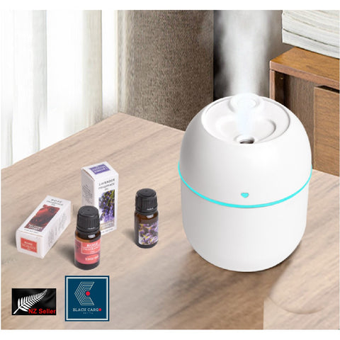 Portable Mini Air Humidifier Air Diffuser 220ml Large Capacity USB Powered Mute