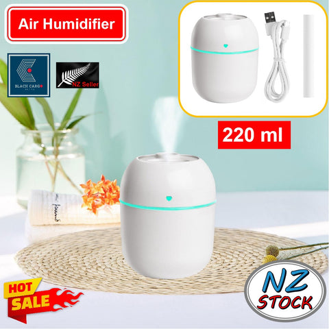 Portable Mini Air Humidifier Air Diffuser 220ml Large Capacity USB Powered Mute