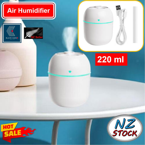 Portable Mini Air Humidifier Air Diffuser 220ml Large Capacity USB Powered Mute