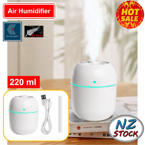 Portable Mini Air Humidifier Air Diffuser 220ml Large Capacity USB Powered Mute