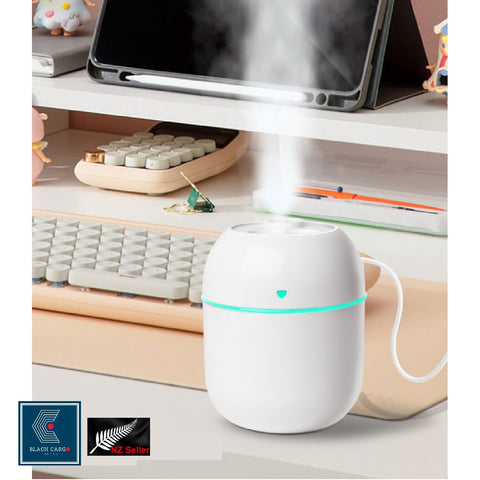 Portable Mini Air Humidifier Air Diffuser 220ml Large Capacity USB Powered Mute