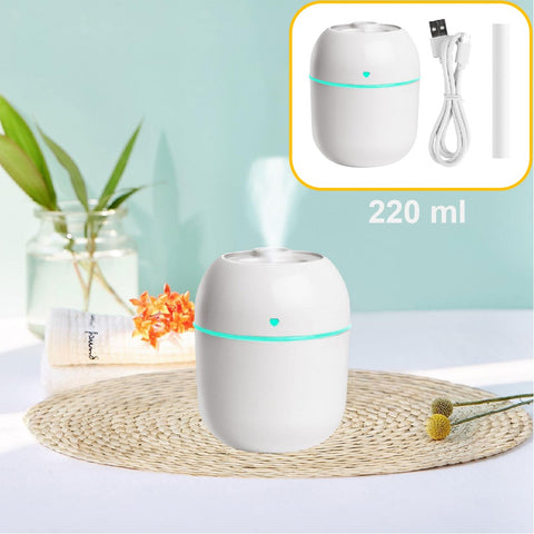 Portable Mini Air Humidifier Air Diffuser 220ml Large Capacity USB Powered Mute