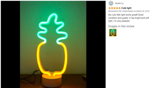 Table Lamp Desk Bedside Lamp Pineapple Neon Sign LED light Pineapple