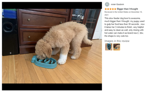 Large Slow Feeder Dog Bowls Anti-Chocking Pet Slower Feeding (Orange)