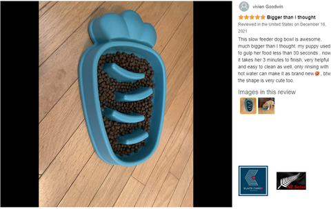 Large Slow Feeder Dog Bowls Anti-Chocking Pet Slower Feeding (Orange)