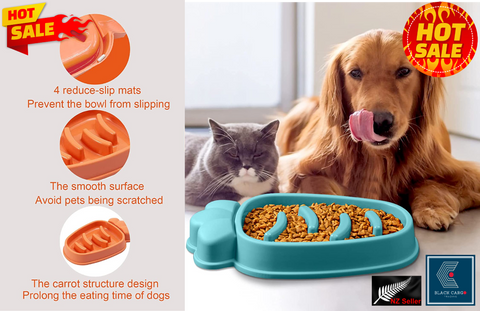 Large Slow Feeder Dog Bowls Anti-Chocking Pet Slower Feeding (Orange)