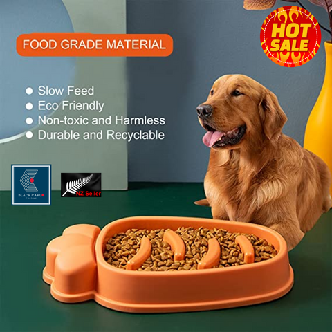 Large Slow Feeder Dog Bowls Anti-Chocking Pet Slower Feeding (Orange)