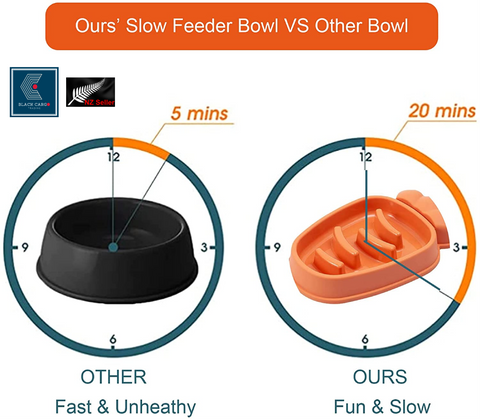 Large Slow Feeder Dog Bowls Anti-Chocking Pet Slower Feeding (Orange)