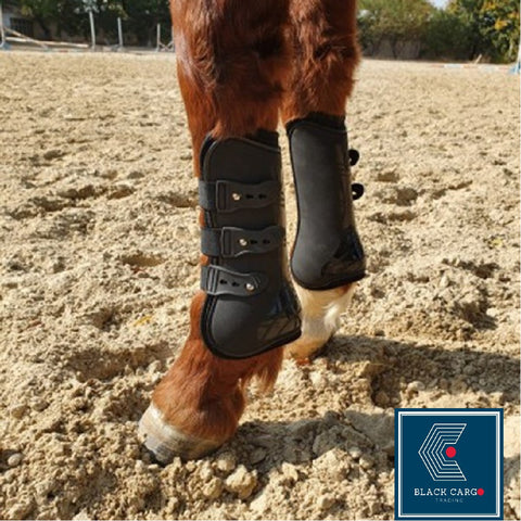 Horse Leg Protection Tendon Boots - Blue