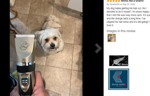 Professional Rechargeable Cordless Pet Hair Grooming Kit