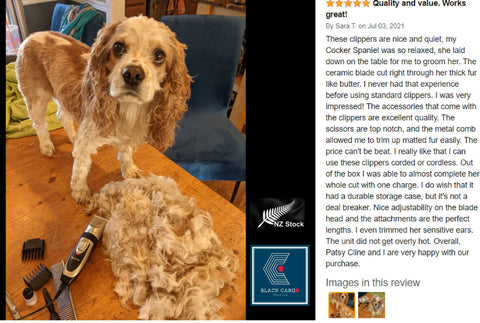 Professional Rechargeable Cordless Pet Hair Grooming Kit
