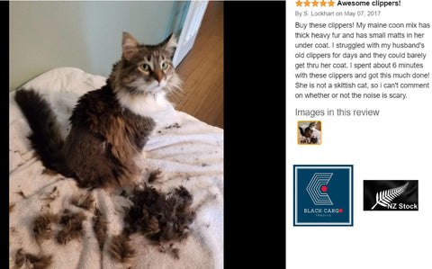 Professional Rechargeable Cordless Pet Hair Grooming Kit