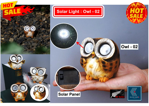 Cute Funny Owl Naughty Gnome Statue for Garden Decoration Solar Powered Light