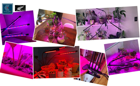 LED Grow Lights Full Spectrum Indoor Plants 4 Heads lamp For Fruit Veg Flowers