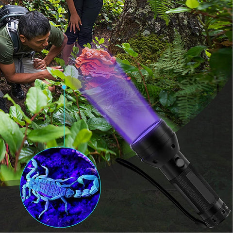 UV Torch Light Blacklight 51 LED 395 nM Detector Pet Urine Stains