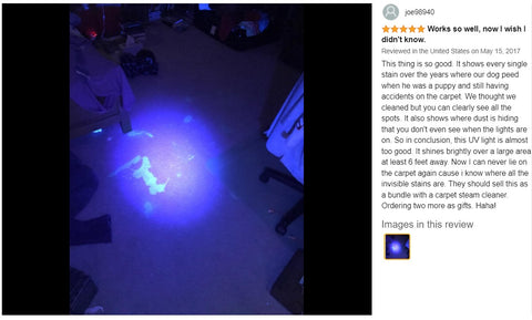 UV Torch Light Blacklight 51 LED 395 nM Detector Pet Urine Stains