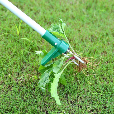 Weed Puller Tool Adjustable Stand Up Weed Remover with 3 Claws Stainless Steel