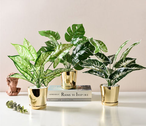 Plant Pot with Artificial Plant - D