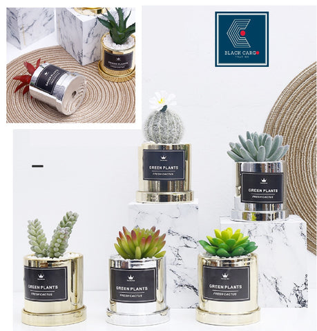 Artificial Succulent Plant Decorative Potted Plant - Referdeal